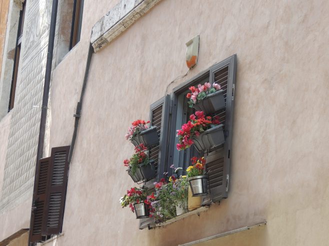 Flowers in Trastevere
