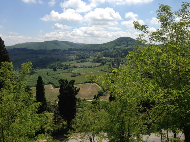 The View from my Apartment