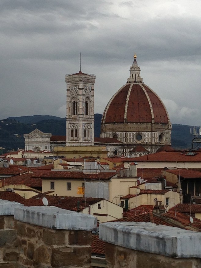 Roof Top Duomo, Florence, Italy