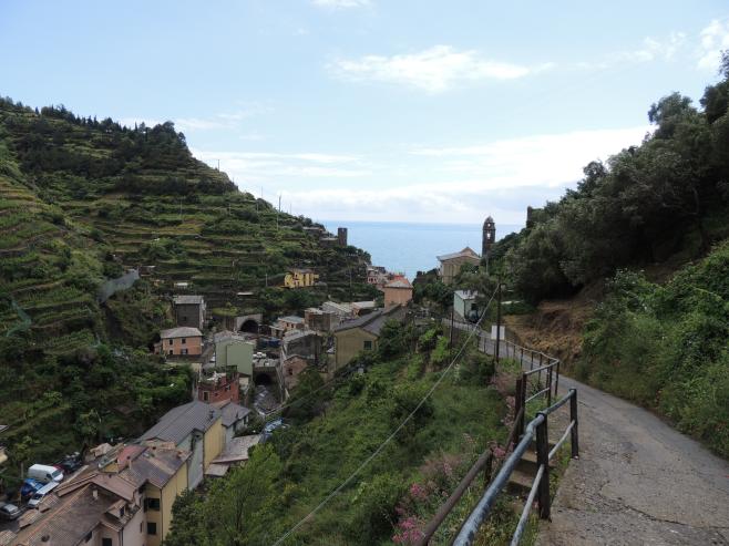 The Hiking Path above Vernazza