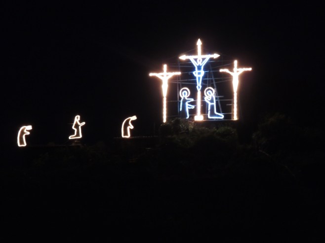 Manarola Vineyards at Night
