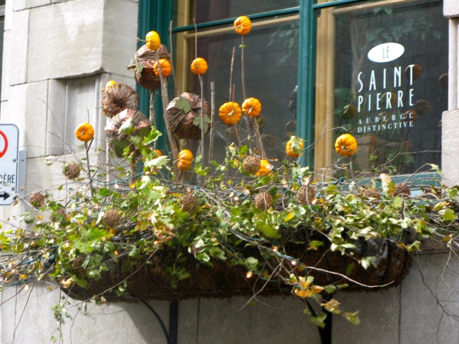 Quebec City Canada Flower Display