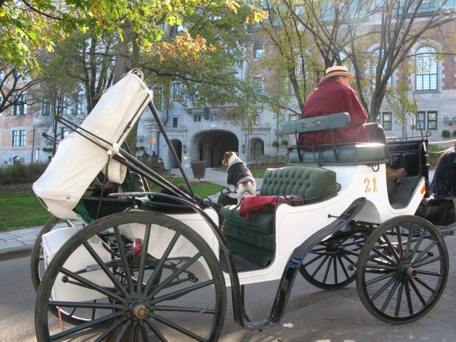 The Coach Ride with The Dog