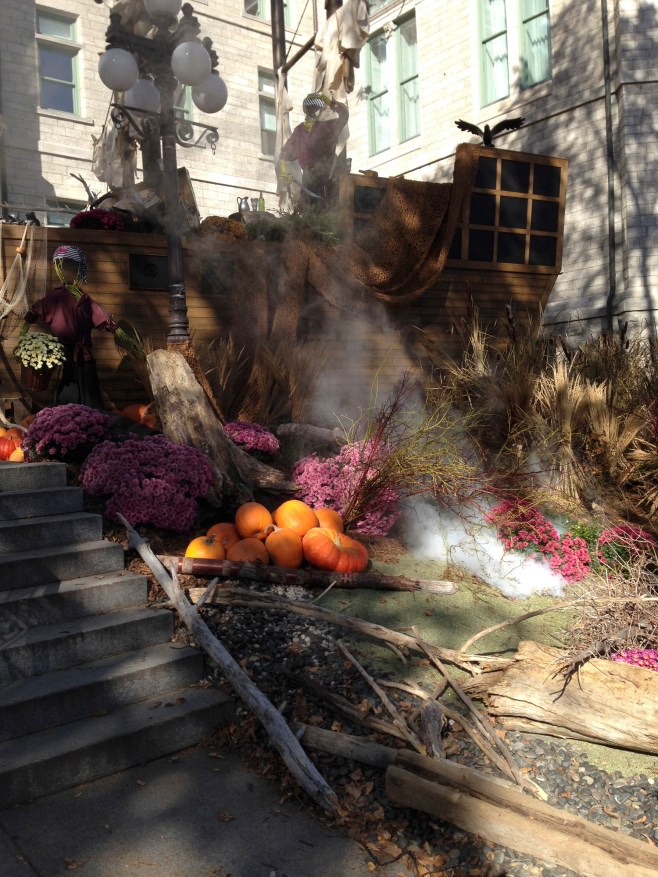 Another Pirate Ship!