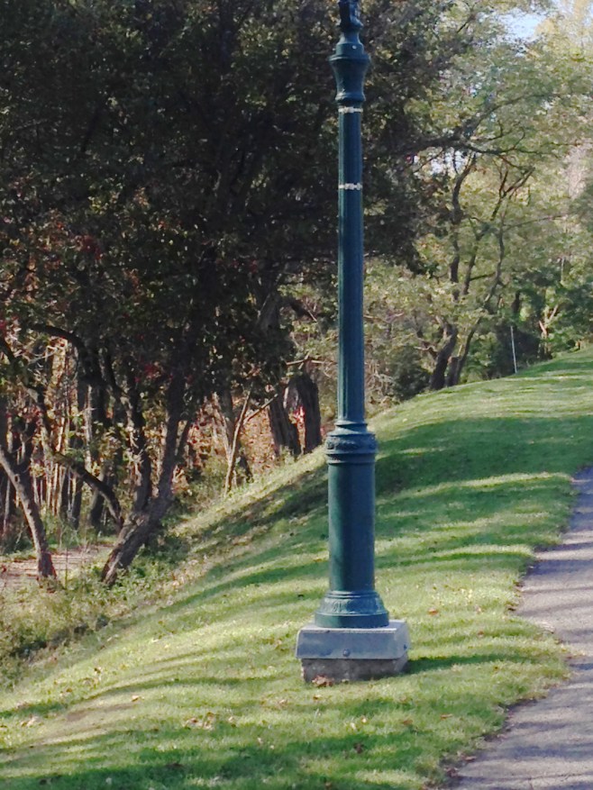 The Woods where the Kids were having the Best Time!