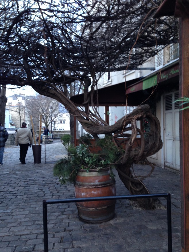 I Love This Twisted Vine