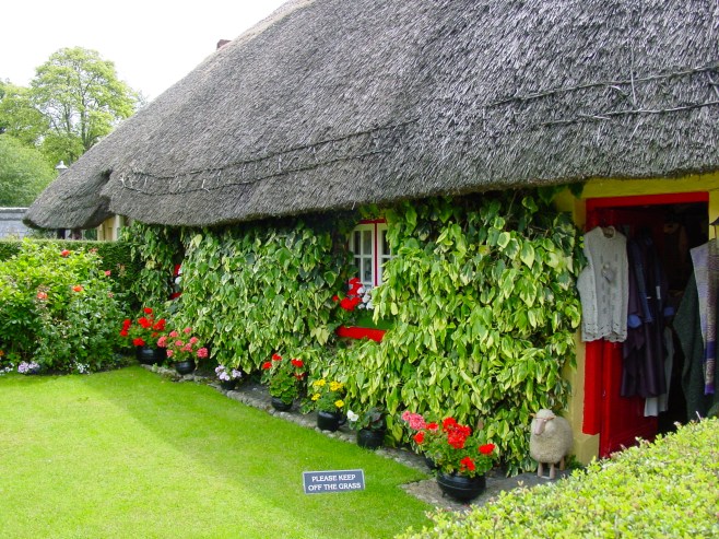 Adare Gift Shop