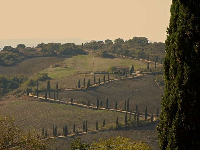 Under a Tuscan Sun Road