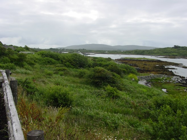 Peat Bog in Connemara