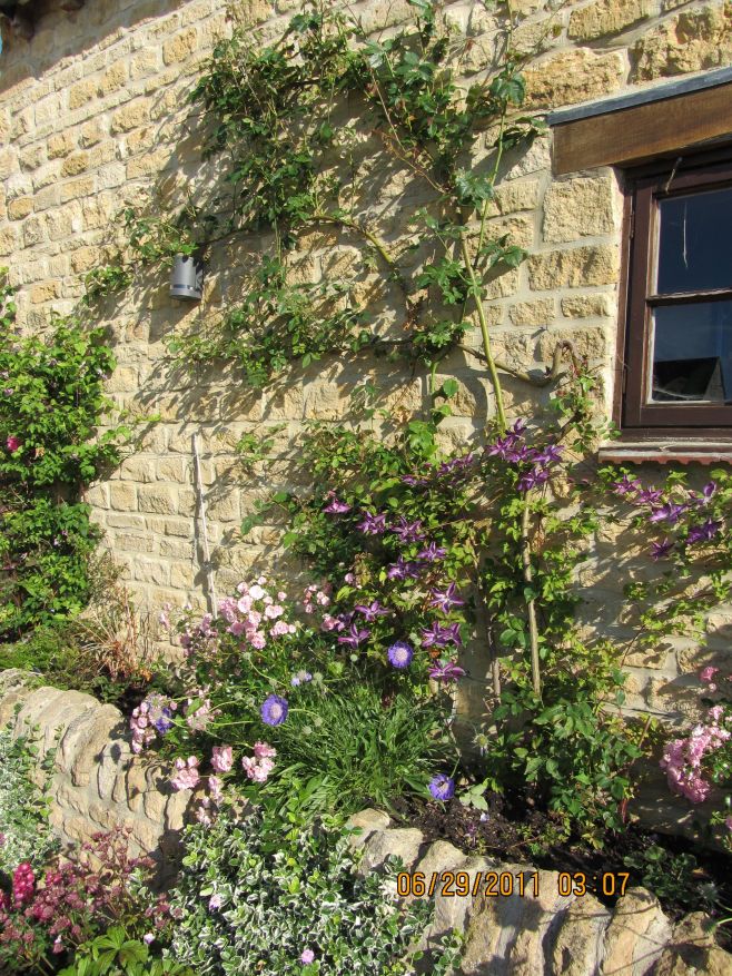 The Garden at the Bramley House