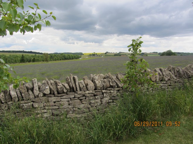 The Meadows of Snowshill, UK