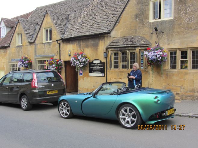 Holly Hocks in the Garden