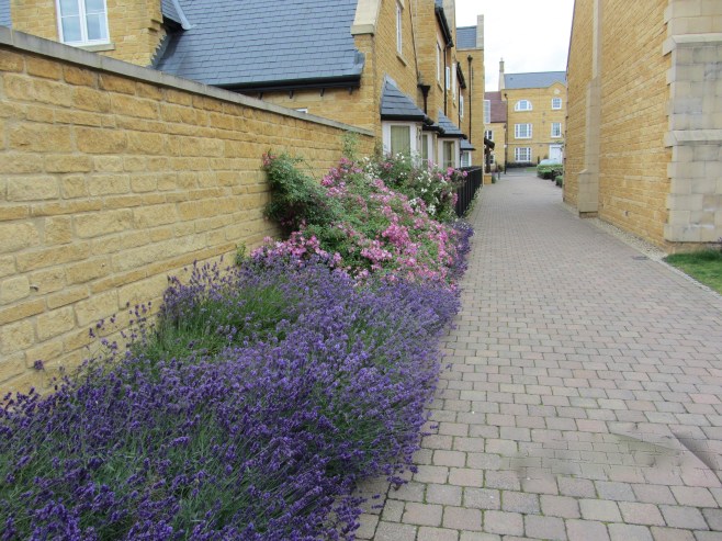The Pathway to Budgens in Broadway, UK