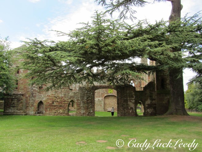 The Setting of Acton Burnell Castle, England