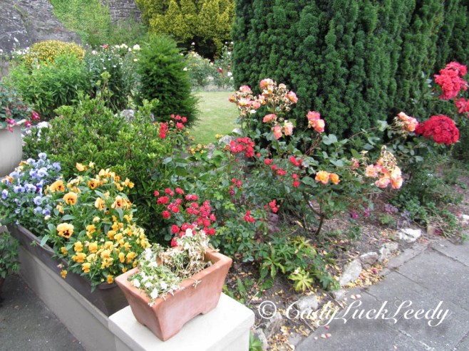 The Flower Garden at Bryn B&B, Conwy, Wales