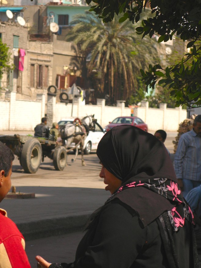 A Woman in Cairo