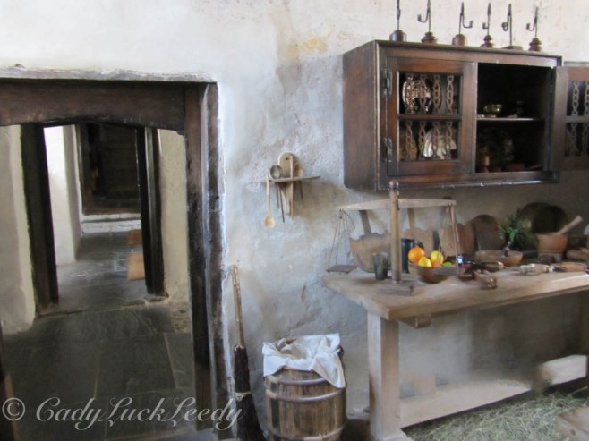 The Kitchen, Plas Mawr
