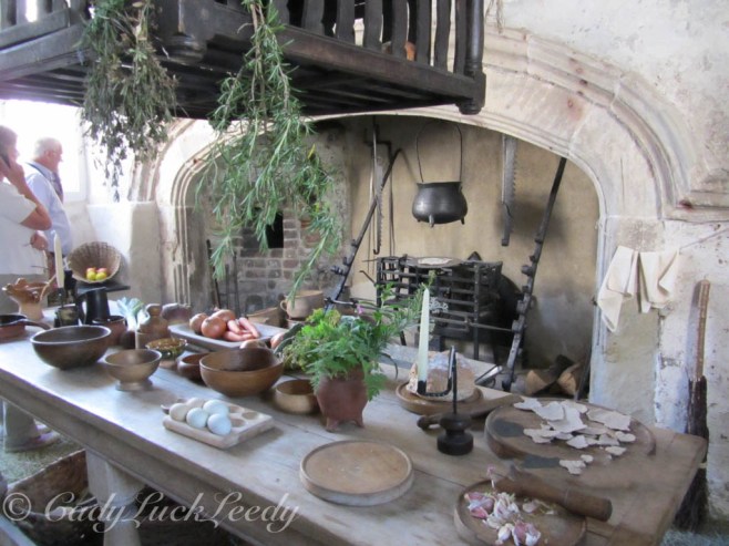 The Kitchen, Plas Mawr