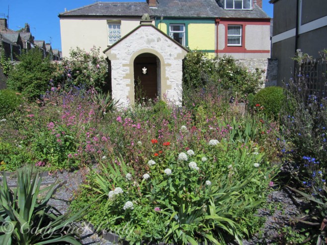 Rooftop Garden, Plas Mawr, Conwy, Wales