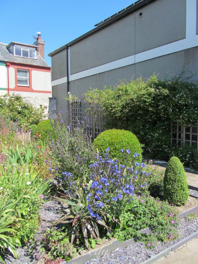 Rooftop Garden, Plas Mawr, Conwy, Wales