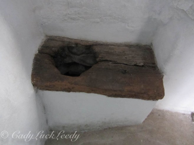 Indoor Plumbing! Plas Mawr, Conwy, Wales
