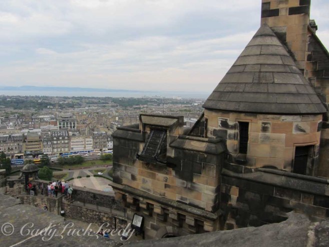 Grey High up on the Hill