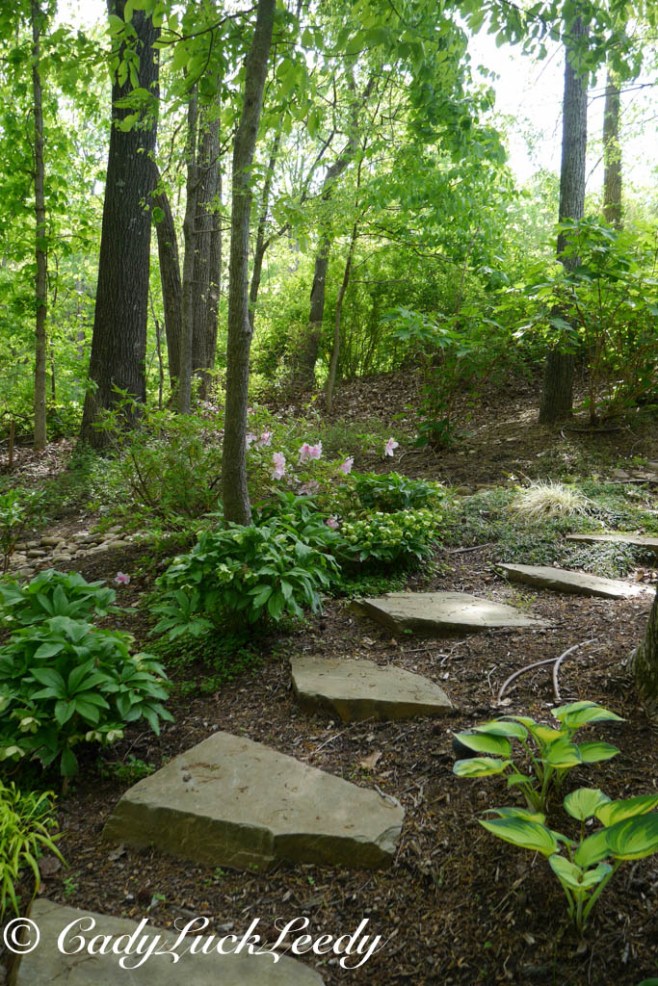 Woodland Garden, April 2014