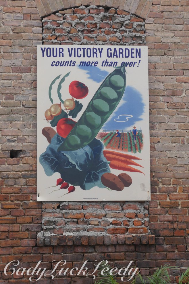 Victory Garden Poster