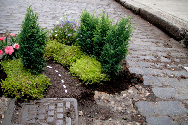 “The Work of UK Pothole Gardener Extraordinaire, Steve Wheen”