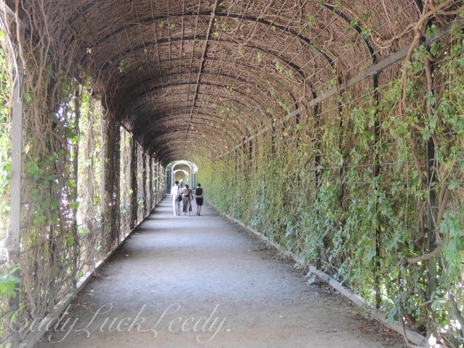 The Vine Enclosed Walkway Around the Orangery, Schönbrunn Palace