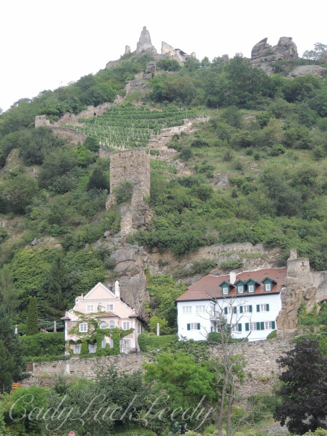 The Boat Trip to Krems 10
