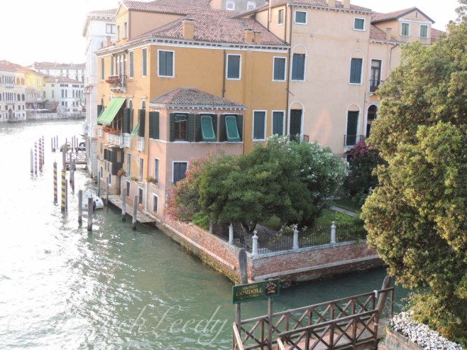 What a Lovely Garden Area!