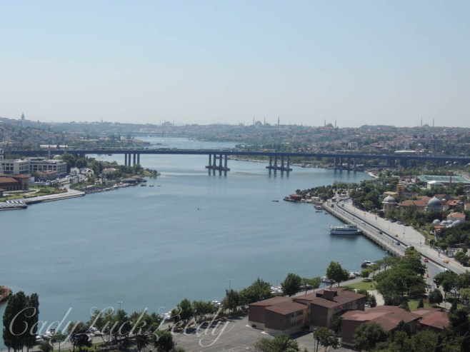 The Tour Boat at the Dock, Istanbul, Turkey