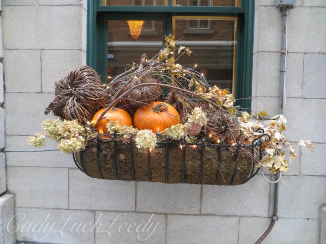 My Favorite Basket Planters, Quebec City, Canada