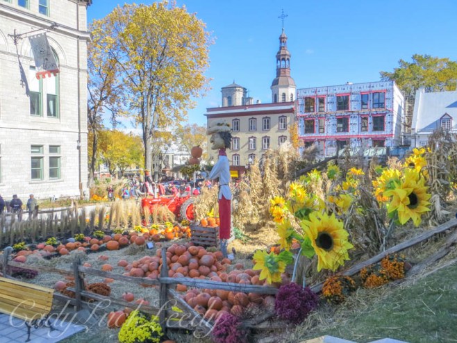 The Sunflower Fields Surrounding the Harvest Ship, Quebec City, Canada