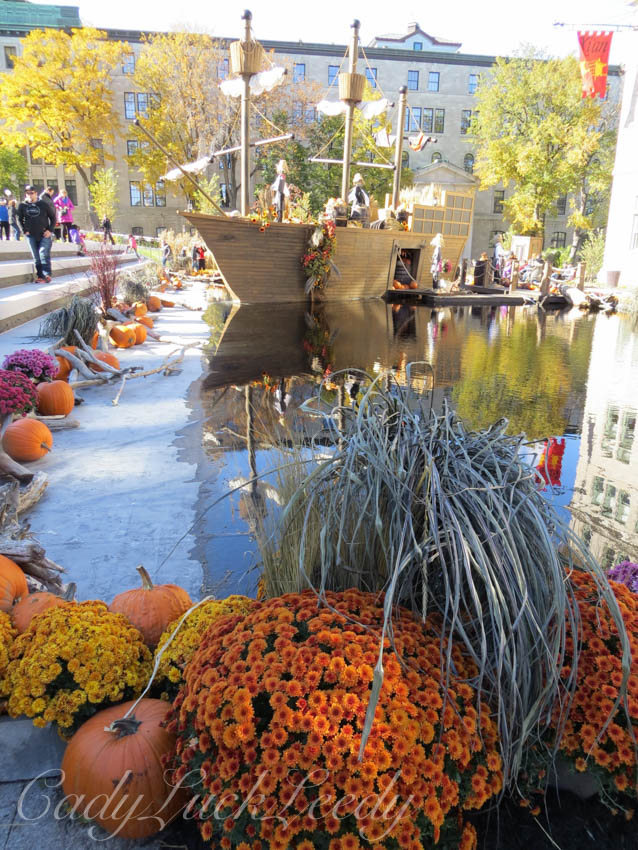 The Ship is Moored and Awaiting the Harvest! Quebec City, Canada