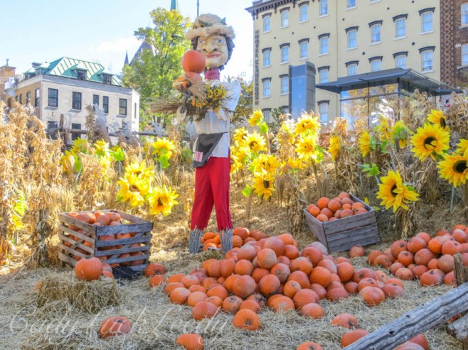 A Farmer in the Field, Quebec City, Canada