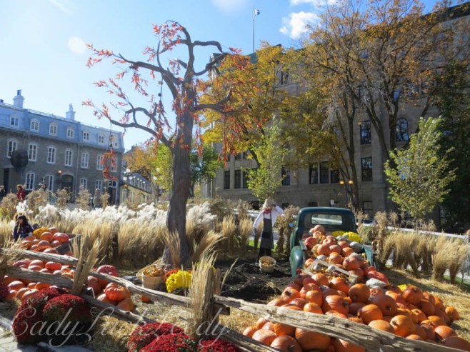 Gotta Have the Spooky Tree! Quebec City, Canada