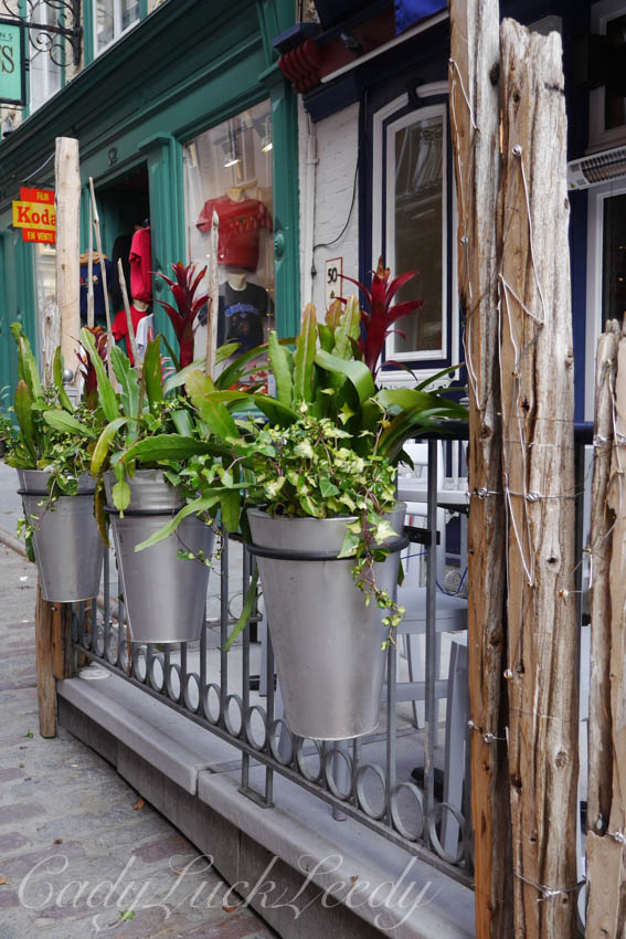 New Planters in the Park! Quebec City, Canada