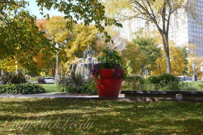 Giant Red Pots of Blooms in the Park! Quebec City, Canada