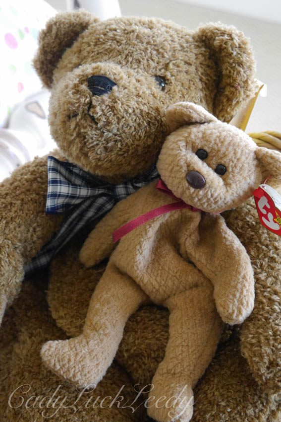 My Teddy Bear, Winnie