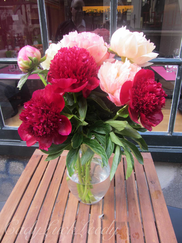 I'm Ready for Spring