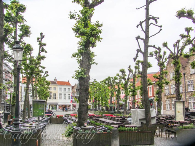 I Loved These Trees Along our Walk!