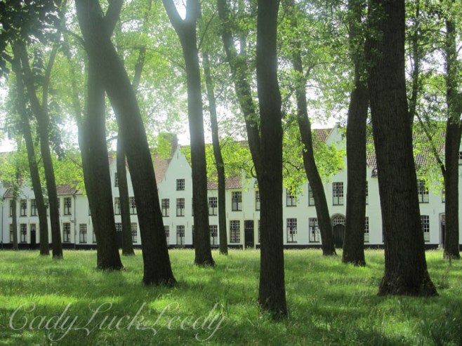 The Meadow Woods of the Begijhof