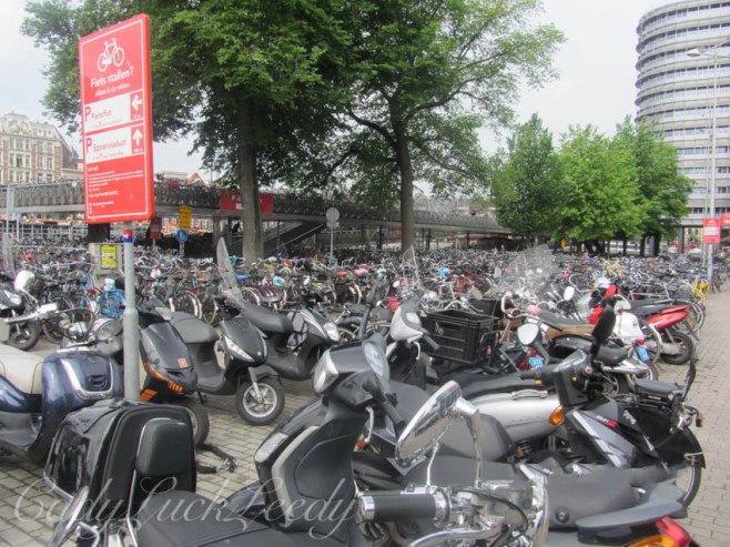 Yikes, Bikes, in Amsterdam!