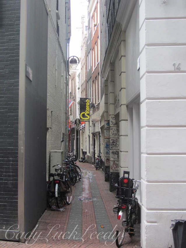 This is Why One Rides a Bike Here! Pedestrian Only Here!