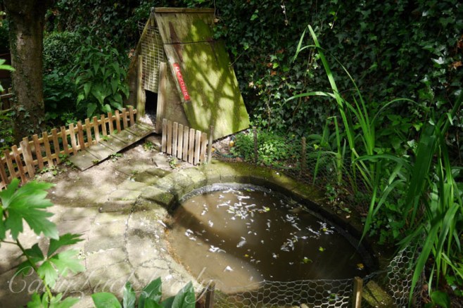 The Duck Cottage at Whites Cottage, Fletching, Uckfield