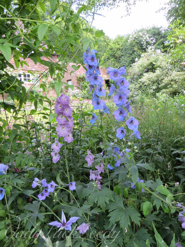 The Flowers of North Hall
