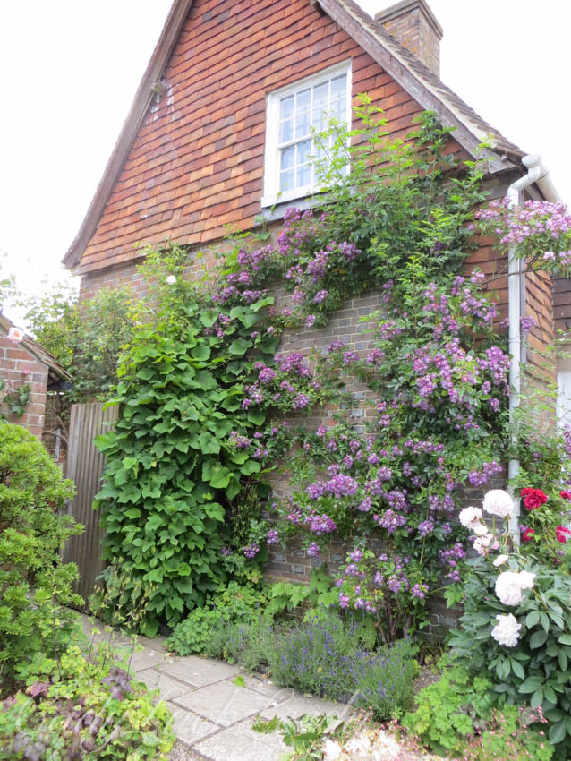 Beauty at the Whites Cottage, Fletching, Uckfield
