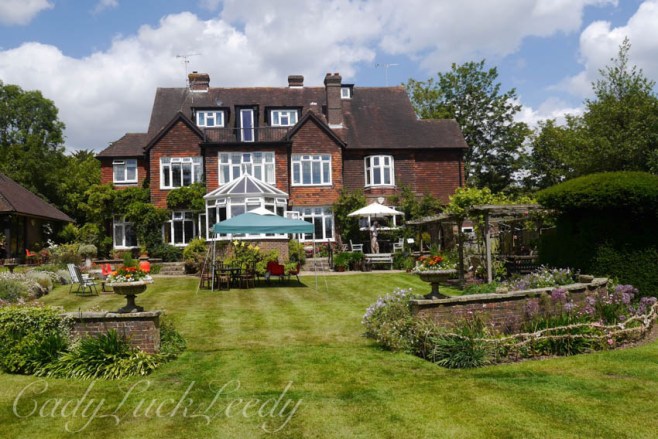 The Back Lawn of Luctons